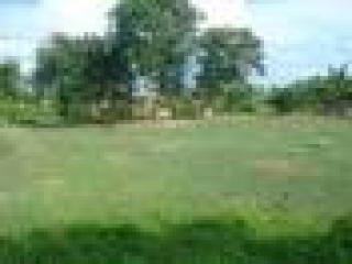 FOR SALE: Lot / Land / Farm Cebu