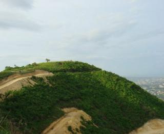 FOR SALE: Lot / Land / Farm Cebu > Cebu City