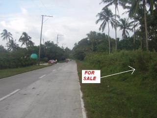 FOR SALE: Lot / Land / Farm Tagaytay