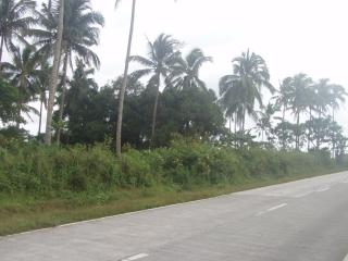 FOR SALE: Lot / Land / Farm Tagaytay 1