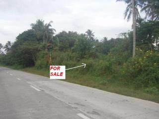 FOR SALE: Lot / Land / Farm Tagaytay 2