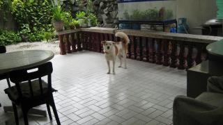 patio with ceramic tile flooring