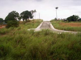 FOR SALE: Lot / Land / Farm Rizal > Antipolo 1