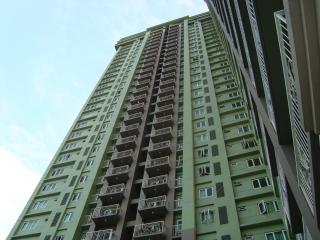 FOR SALE: Apartment / Condo / Townhouse Manila Metropolitan Area > Mandaluyong 9