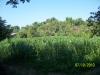 FOR SALE: Lot / Land / Farm La Union > San Juan