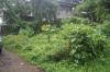 FOR SALE: Lot / Land / Farm Batangas > Batangas City 1