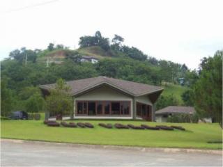 FOR SALE: Lot / Land / Farm Rizal