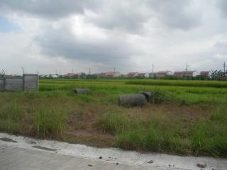 FOR SALE: Lot / Land / Farm Cavite