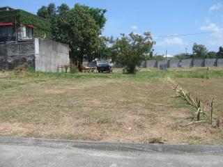 FOR SALE: Lot / Land / Farm Manila Metropolitan Area > Paranaque 2