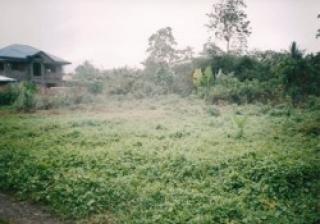 FOR SALE: Lot / Land / Farm Davao