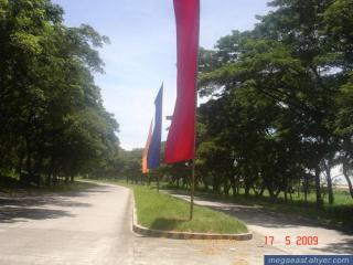 FOR SALE: Lot / Land / Farm Tarlac 4