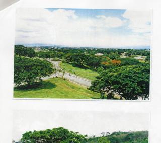 Wedgewoods Overlooking grounds