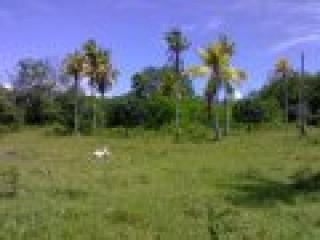 14 Hectares lot at Mambago