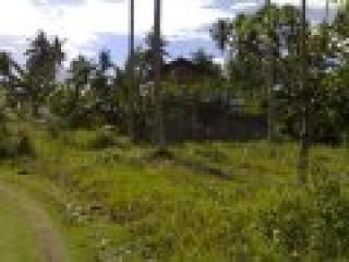 400 sqm. Lot with common white sand beach at Catagman, Penaplata, Samal