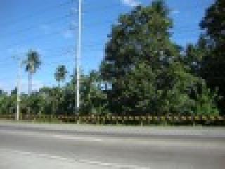  3 Hectare Dumoy Commercial Property