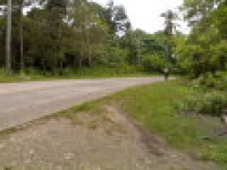  308 sqm Corner Lot For Sale at Kinawitnon, Babak, Samal