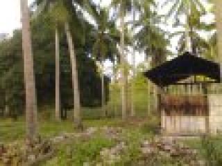 8.7 Has. Farm Lot at Tagbay, Penaplata, Samal