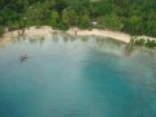 Samal Beach Front Lot