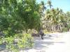 FOR SALE: Beach / Resort Palawan 3