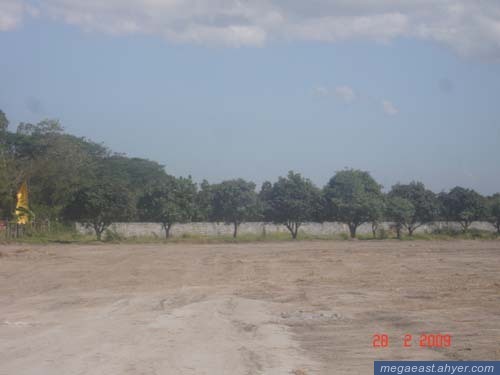 FOR SALE: Lot / Land / Farm Tarlac > Paniqui