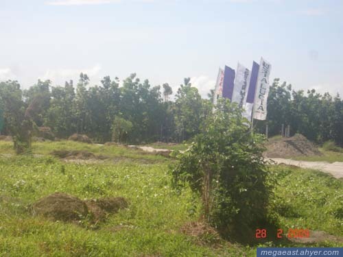 FOR SALE: Lot / Land / Farm Tarlac > Paniqui 2