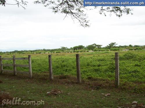 FOR SALE: Lot / Land / Farm Tarlac > Paniqui 8