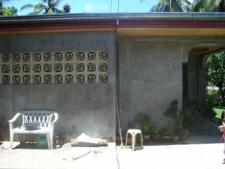 FOR SALE: Apartment / Condo / Townhouse Bohol 3