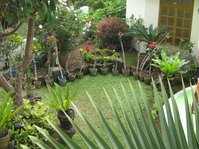 FOR SALE: House Cavite 16