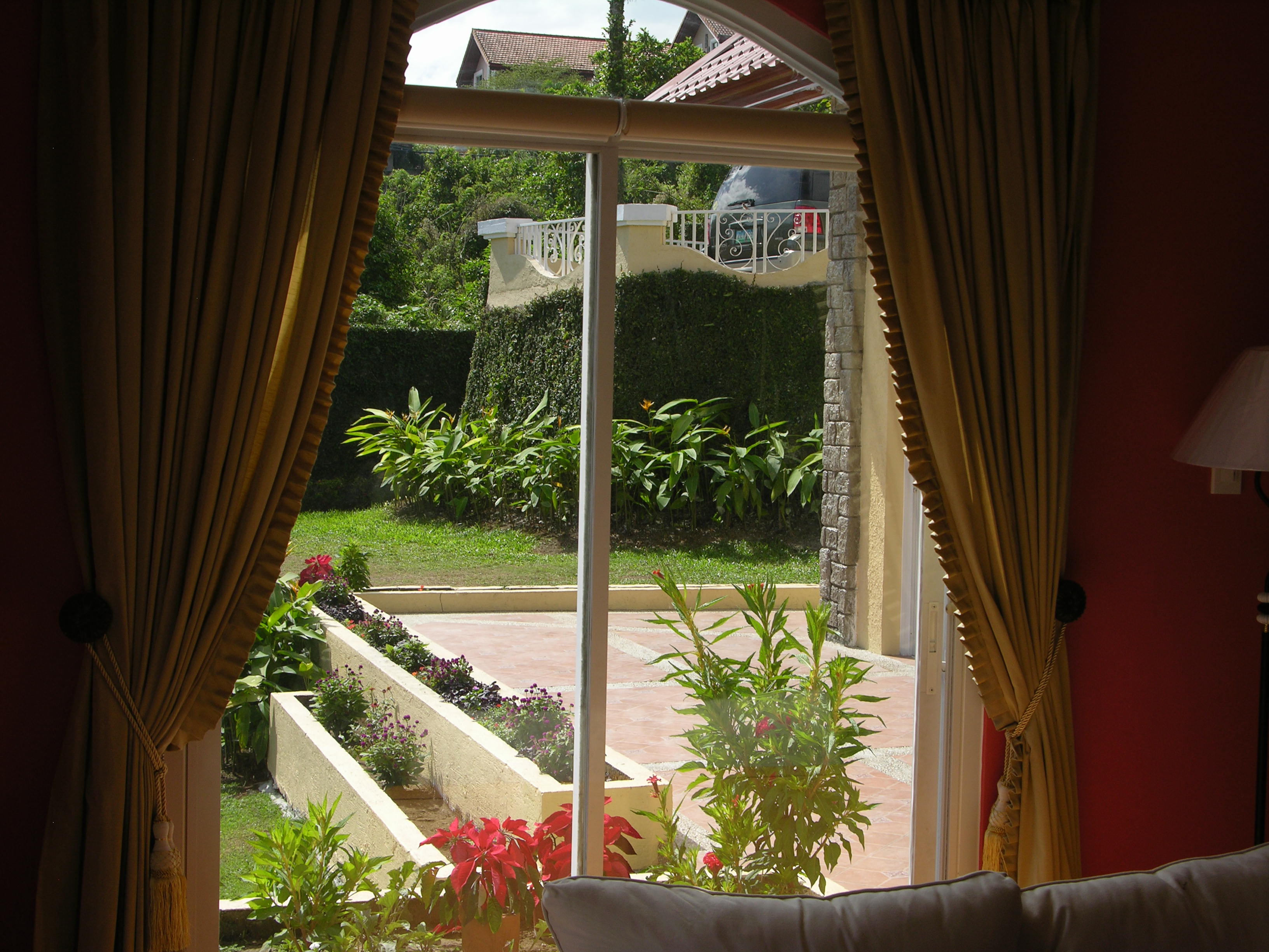 View of Lot from Family Room