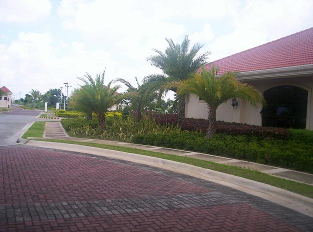 FOR SALE: Lot / Land / Farm Nueva Ecija > Cabanatuan 7