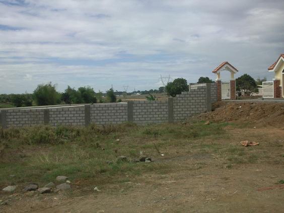 FOR SALE: Lot / Land / Farm Bulacan 8