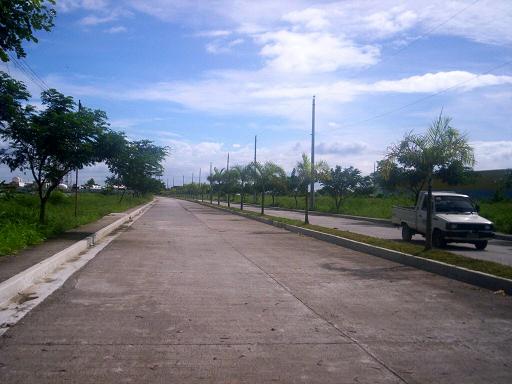 FOR SALE: Lot / Land / Farm Bulacan 6