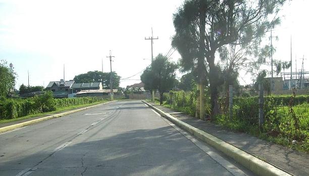 FOR SALE: Lot / Land / Farm Cavite > Bacoor 6