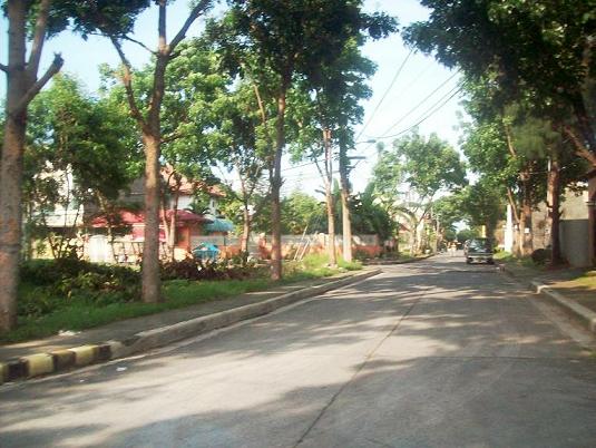 FOR SALE: Lot / Land / Farm Cavite > Bacoor 8