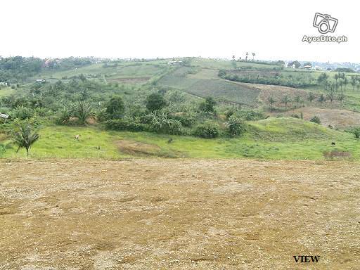 FOR SALE: Lot / Land / Farm Cavite 9