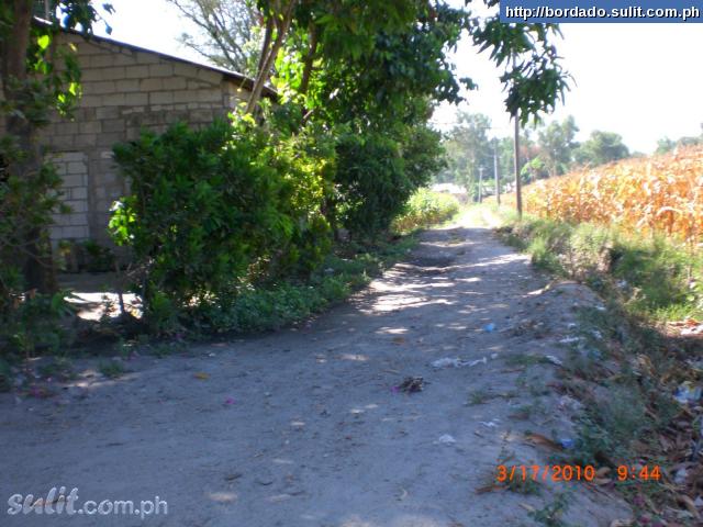 FOR SALE: Lot / Land / Farm Pampanga 2