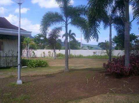 FOR SALE: Lot / Land / Farm Laguna > Los Banos 7