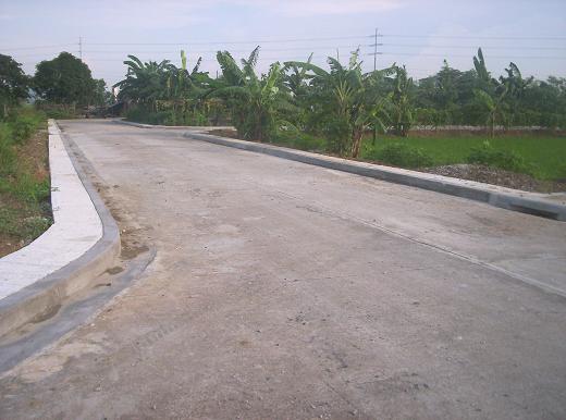 FOR SALE: Lot / Land / Farm Rizal > Cainta 1