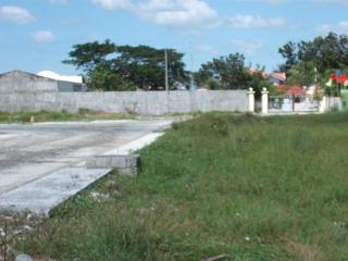 FOR SALE: Lot / Land / Farm Iloilo 2