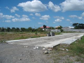 FOR SALE: Lot / Land / Farm Iloilo 3