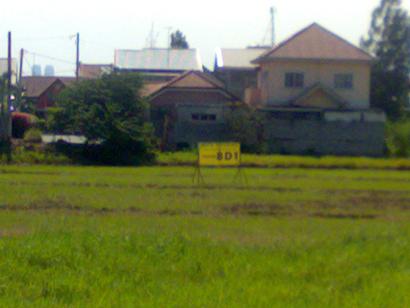 FOR SALE: Lot / Land / Farm Rizal > Cainta 5