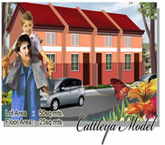 FOR SALE: Apartment / Condo / Townhouse Cavite > Silang 1