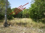 FOR SALE: Lot / Land / Farm Cebu 1