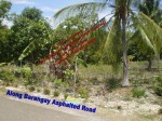 FOR SALE: Lot / Land / Farm Cebu 3