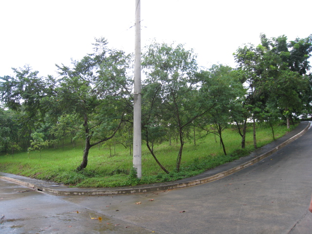 FOR SALE: Lot / Land / Farm Rizal > Antipolo 27