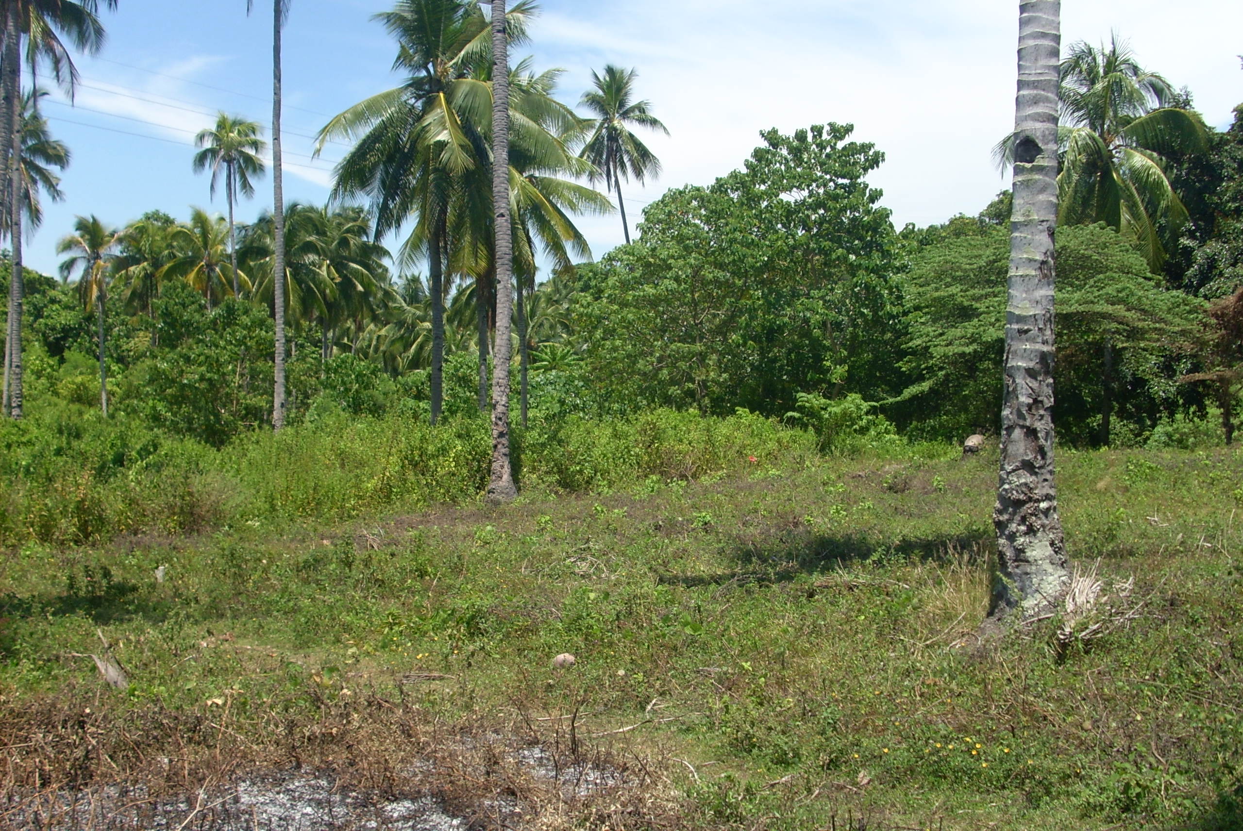 Kaputian Commercial Lot with common beach