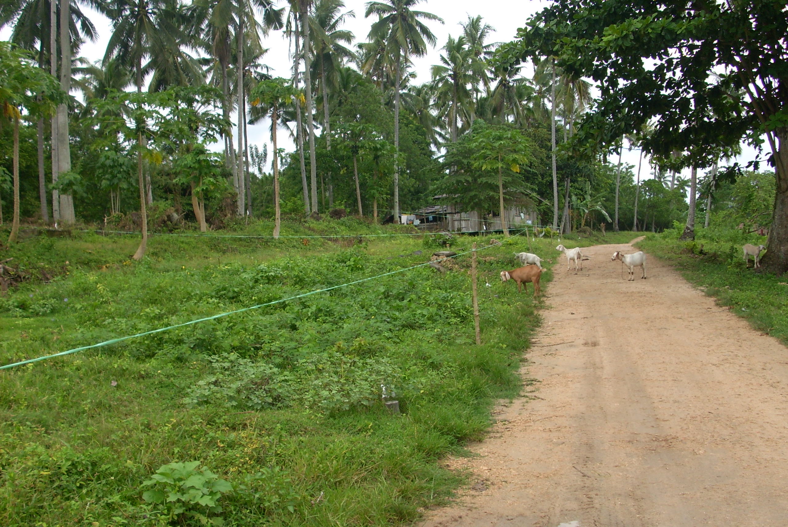 Limao  Residential Lots with common beach