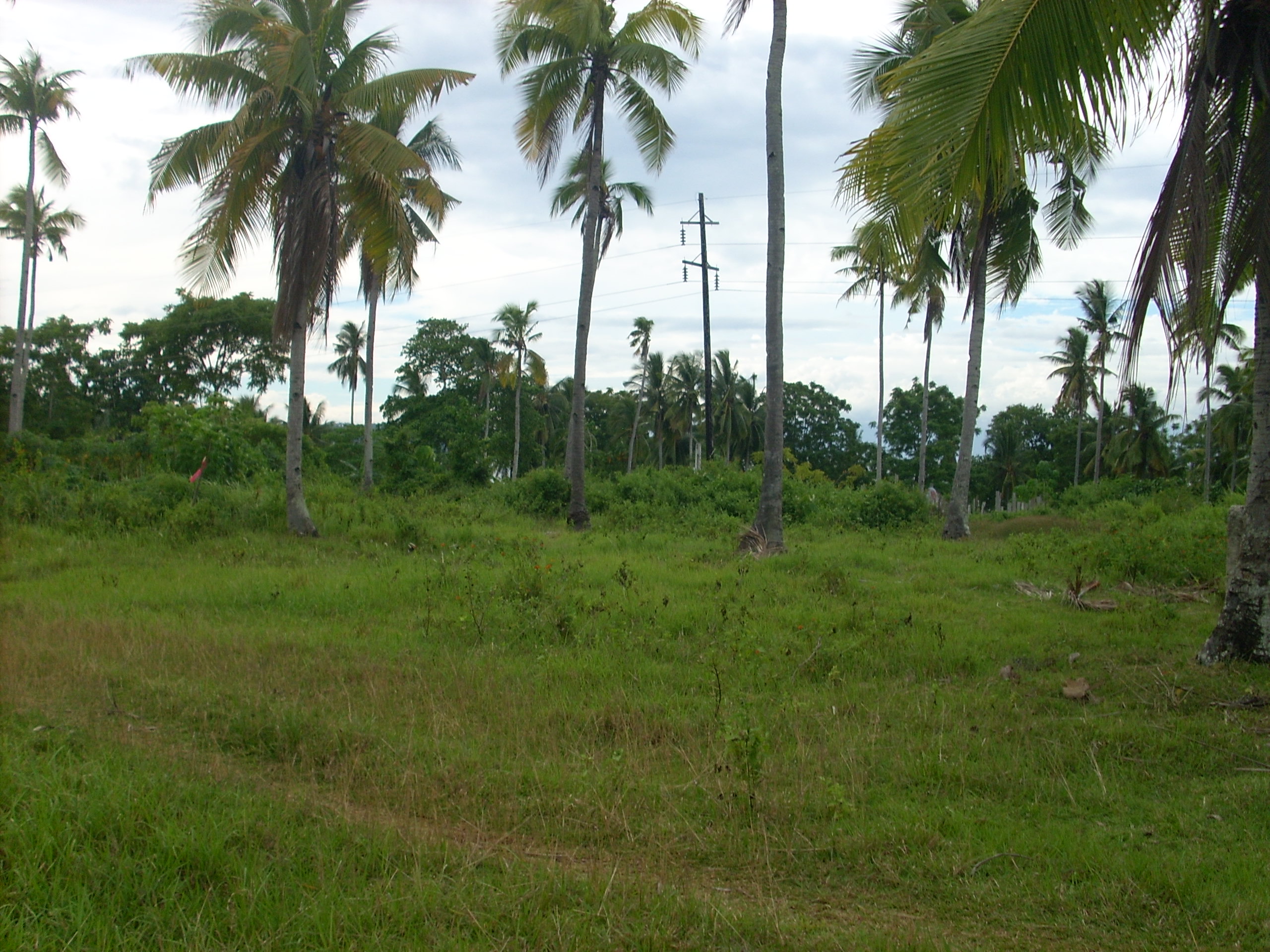 Kaputian Commercial Lot with common beach