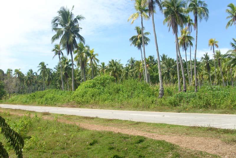 Kaputian Commercial Lot with common beach