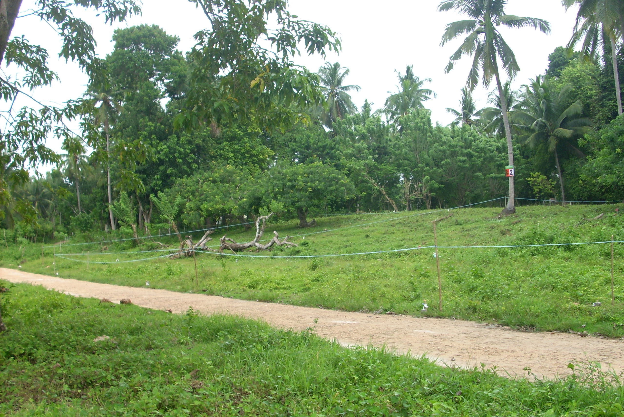 Limao  Residential Lots with common beach